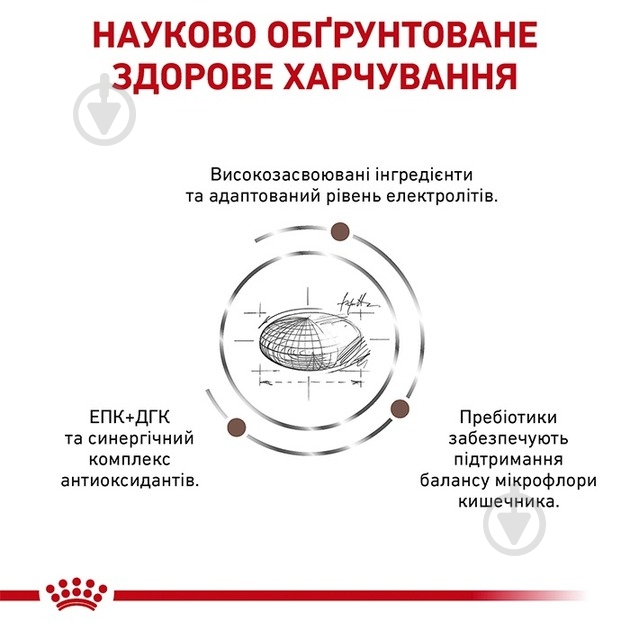 Корм сухой для кошек Royal Canin Gastrointestinal Moderate Calorie (R447914) 4 кг - фото 3