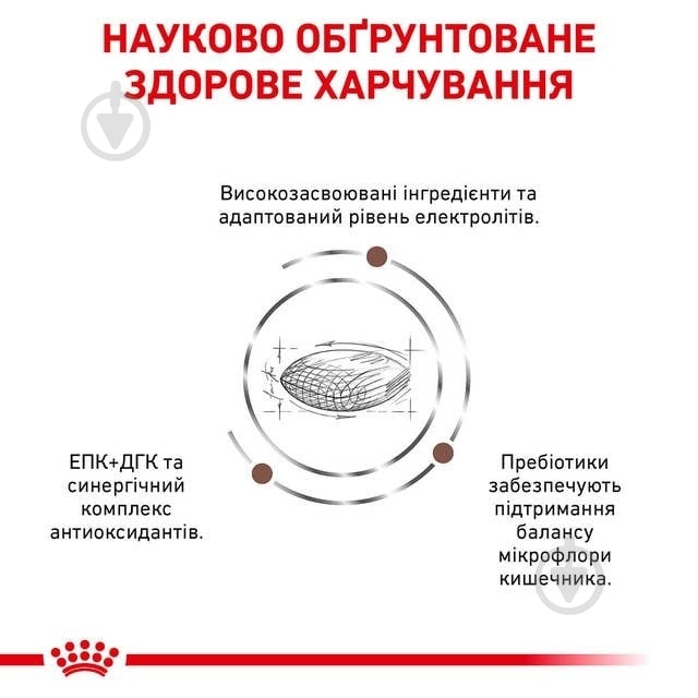 Корм сухий Royal Canin Gastrointestinal Low Fat (R459817) 3,5 кг - фото 4 Корм сухий Royal Canin Gastrointestinal Low Fat (R459817) 3,5 кг - фото 4