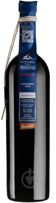Вино Primitivo Terre D'Abruzzo 0,75 л - фото 1