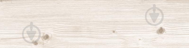 Плитка Cedar White F PR NR Mat 15x60 см (2 сорт) - фото 6