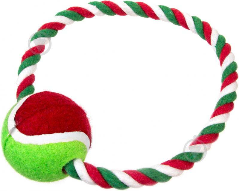 Игрушка для собак Lilli Pet Кольцо с мячом d18 см 20-2606 - фото 1 Игрушка для собак Lilli Pet Кольцо с мячом d18 см 20-2606 - фото 1