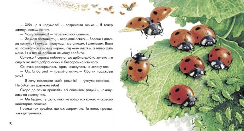 Книга «Жовтий гостинець» 978-617-09-1737-9 - фото 2