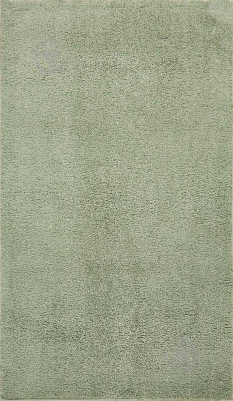Килим Oriental Weavers GALILEO 4 67x120 см - фото 1