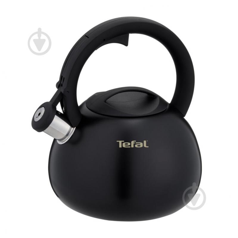 Чайник Tefal Duetto + 2.5 л N4180410 - фото 1 Чайник Tefal Duetto + 2.5 л N4180410 - фото 1