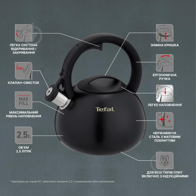 Чайник Tefal Duetto + 2.5 л N4180410 - фото 6 Чайник Tefal Duetto + 2.5 л N4180410 - фото 6