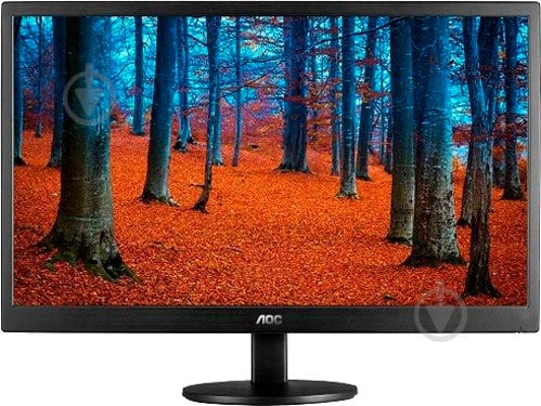 Монитор AOC 18,5" (E970SWN) - фото 1