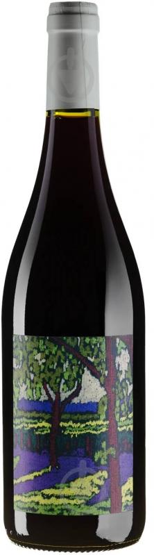 Вино Bourgueil Les Cabernet Franc 0,75 л - фото 1