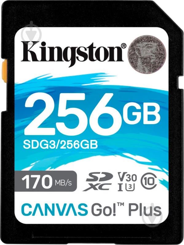 Карта памяти Kingston microSDXC 256 ГБ Class 10 (SDG3/256GB) Canvas Go! Plus - фото 1