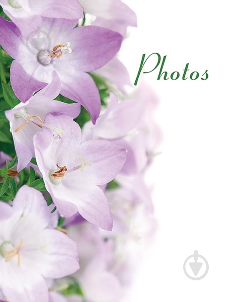 Фотоальбом UFO 20sheet S22x32 Orchid - фото 1