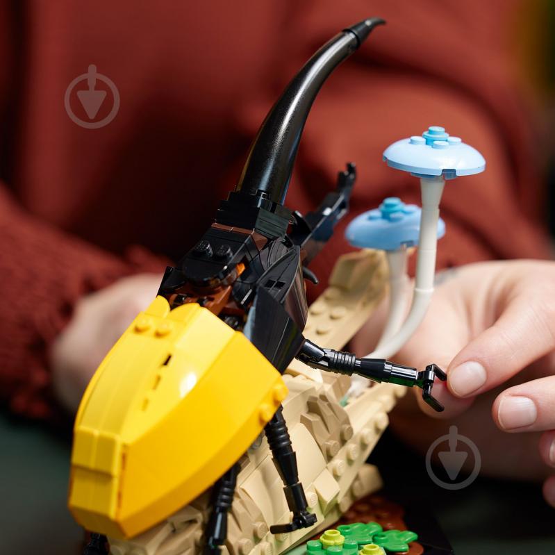 Конструктор LEGO Ideas Коллекция насекомых 21342 - фото 8