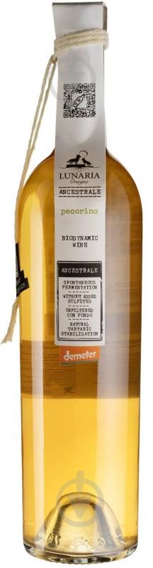 Вино Pecorino Terre D'Abruzzo 0,75 л - фото 1