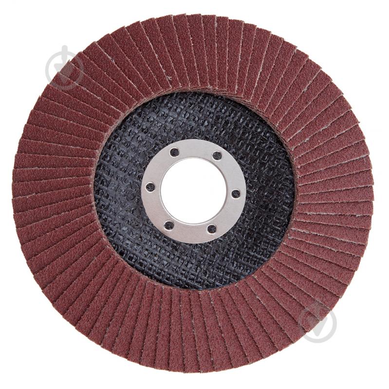 Круг пелюстковий Alloid 125 мм P100 FD-29100 - фото 2 Круг пелюстковий Alloid 125 мм P100 FD-29100 - фото 2