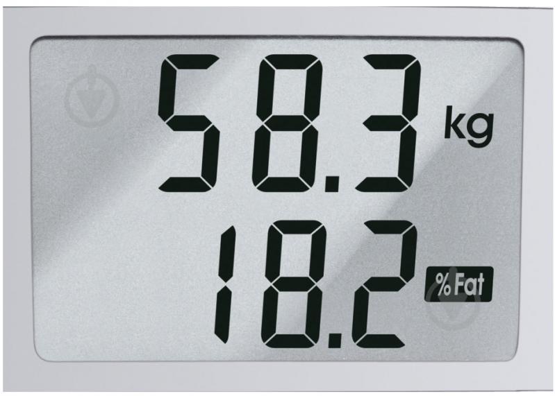 Весы напольные Bosch PPW3120 - фото 4