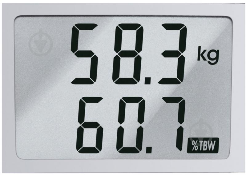 Весы напольные Bosch PPW3120 - фото 5