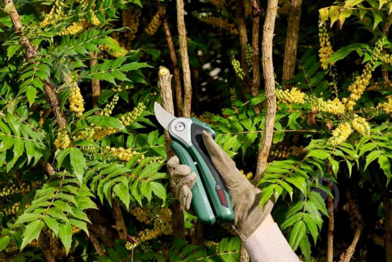 Секатор Bosch акумуляторний EasyPrune 0.600.8B2.000 (0.600.8B2.000) - фото 9