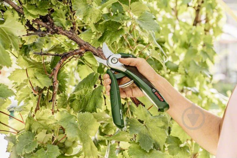 Секатор Bosch акумуляторний EasyPrune 0.600.8B2.000 (0.600.8B2.000) - фото 8