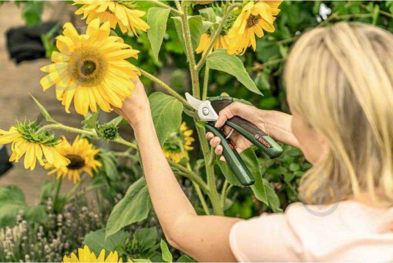 Секатор Bosch акумуляторний EasyPrune 0.600.8B2.000 (0.600.8B2.000) - фото 7