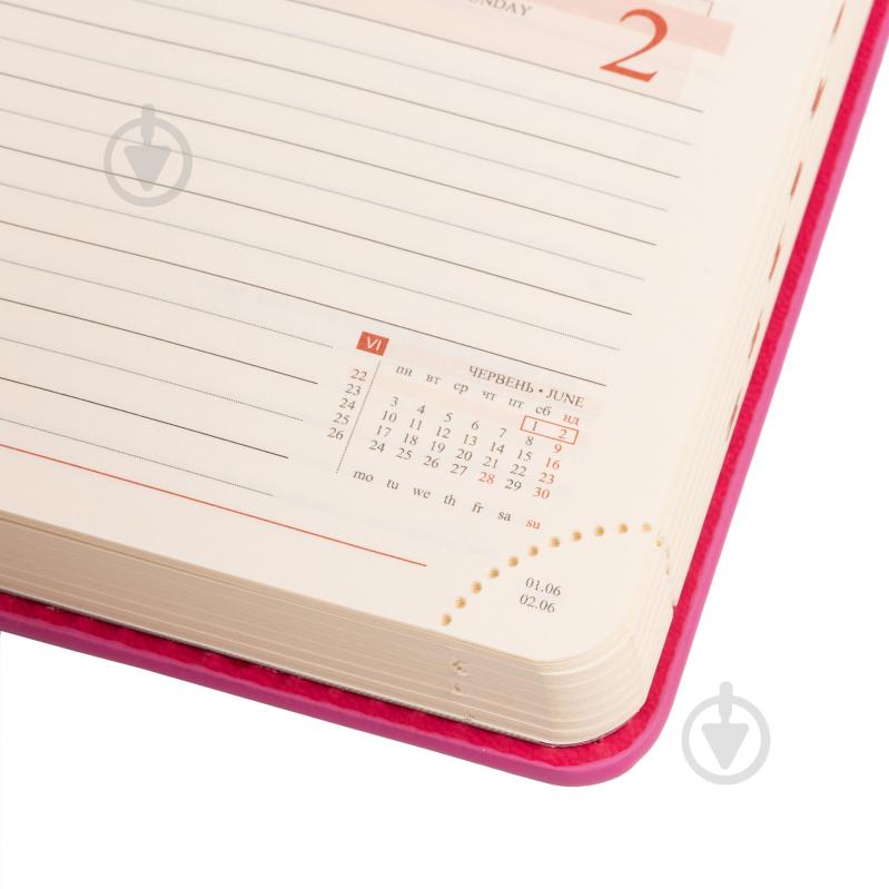 Щоденник датований сливовий 352 стор. Leo Planner Destiny A6 2024 - фото 8