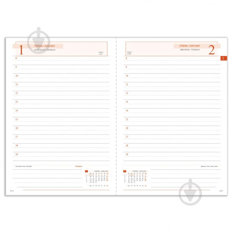 Дневник датированный Saga белый 352 стр. Leo Planner Unique A6 2024 - фото 5