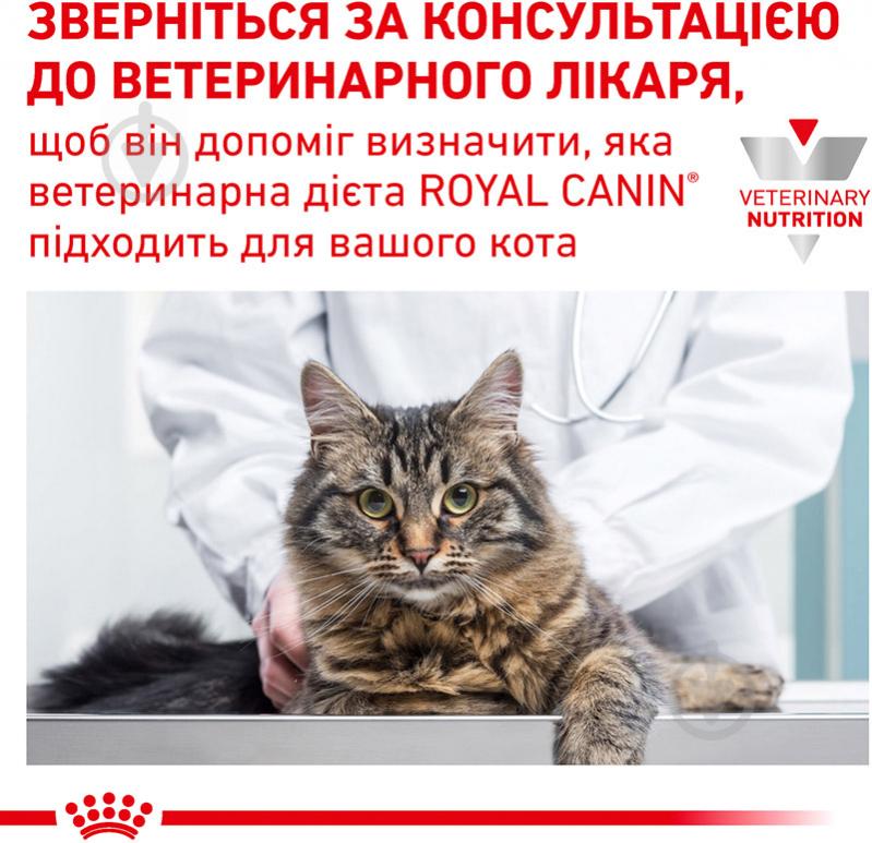 Корм сухой для кошек при нежелательной реакции на корм Royal Canin Hypoallergenic 500 г - фото 5