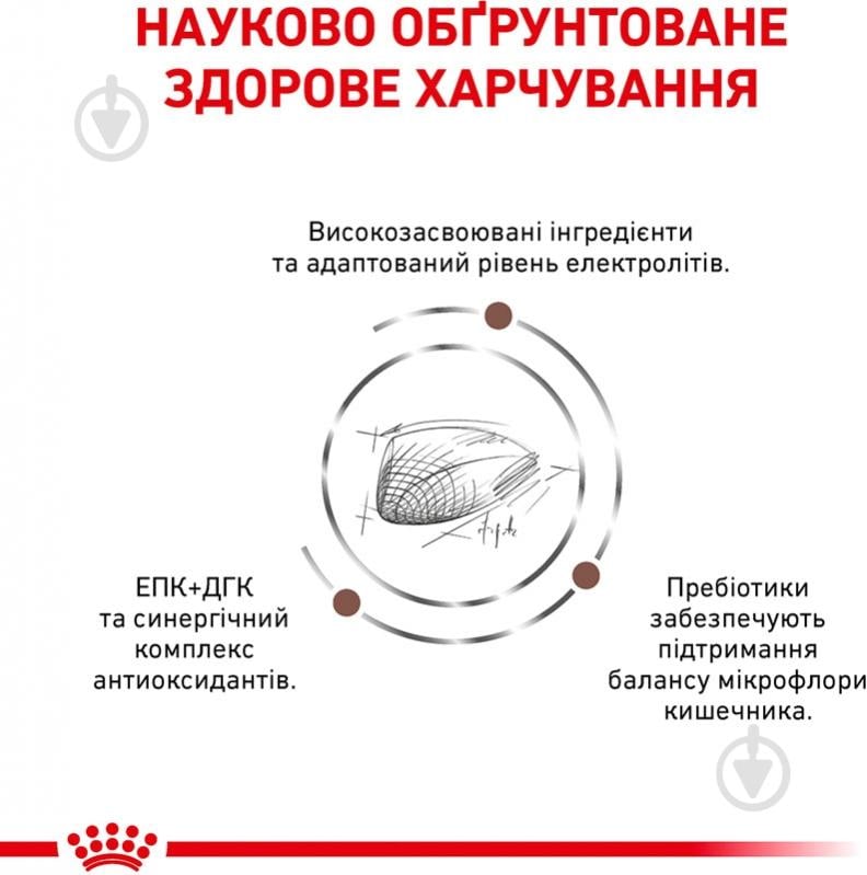 Корм для котів при розладах травлення Royal Canin Gastro Intestinal 400 г - фото 2