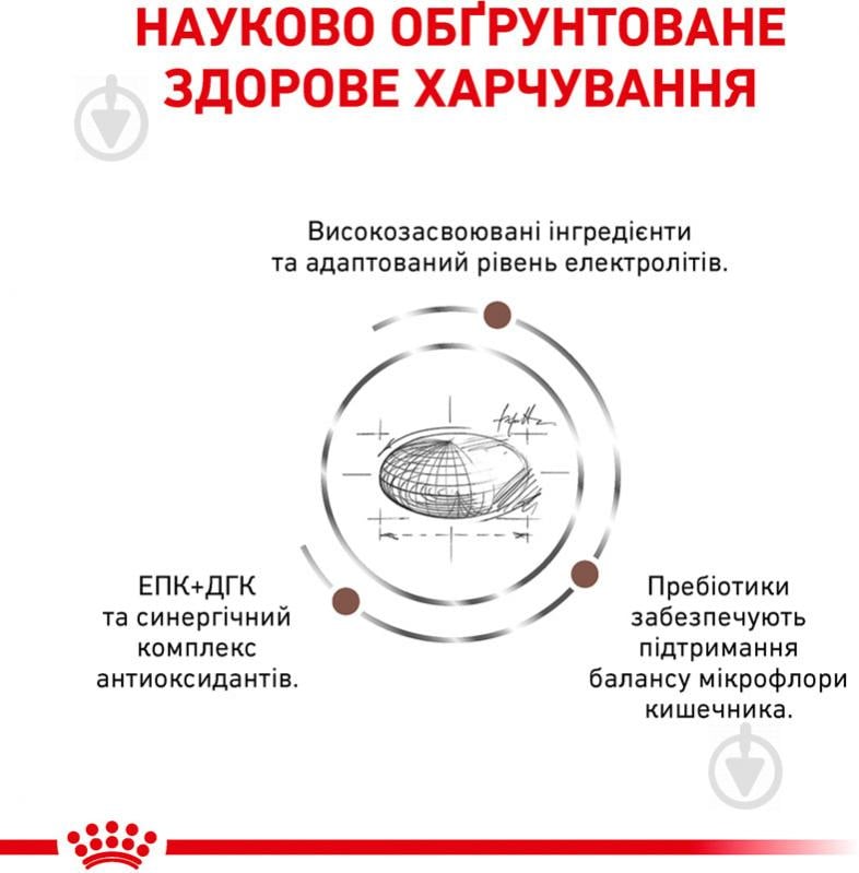 Корм сухий для дорослих собак із порушеннями травлення для усіх порід Royal Canin GASTRO INTESTINAL (Гастро- - фото 2