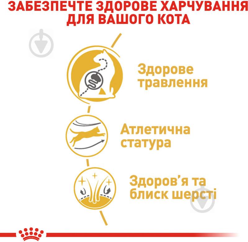 Корм сухой для взрослых кошек породы бенгальская Royal Canin Bengal Adult птица 400 г - фото 5