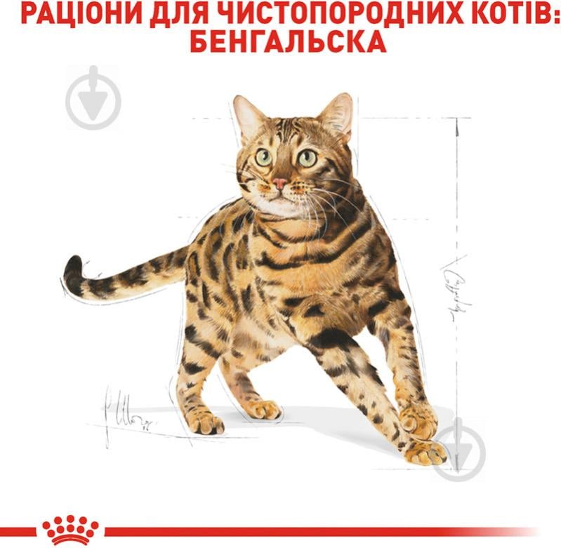 Корм сухой для взрослых кошек породы бенгальская Royal Canin Bengal Adult птица 2 кг - фото 3