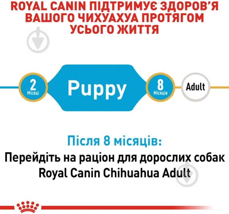 Корм сухой для щенков для малых пород Royal Canin CHIHUAHUA PUPPY (Чихуахуа Паппи), 1,5 кг 1,5 кг - фото 4