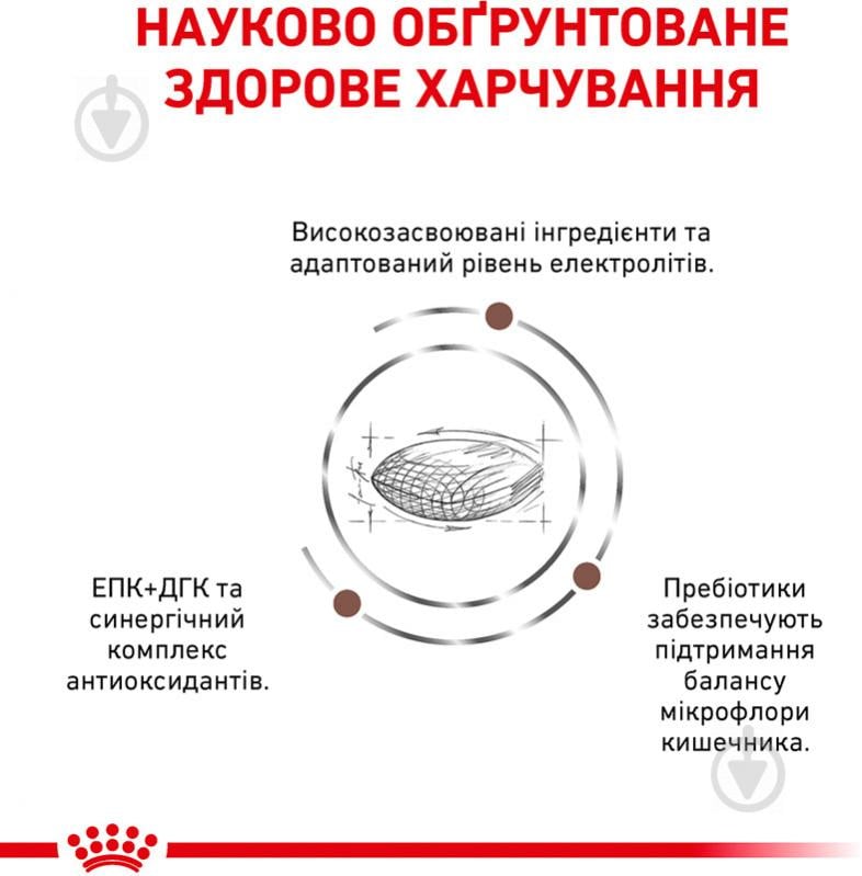 Корм сухой для взрослых собак с нарушениями пищеварения для всех пород Royal Canin GASTRO INTESTINAL LOW FAT (Гастро-Интестинал Лоу Фет Канин), 1,5 кг 1,5 кг - фото 2