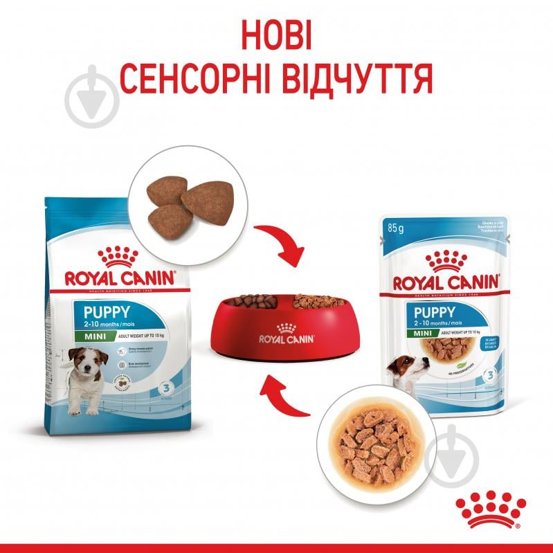 Корм влажный для щенков для малых пород Royal Canin MINI PUPPY 85 г - фото 8