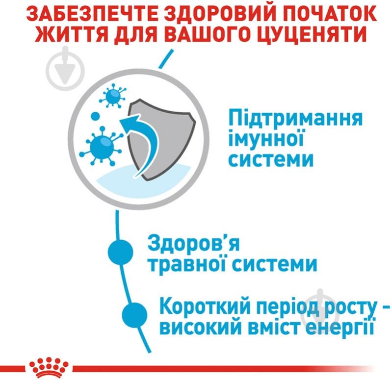 Корм влажный для щенков для средних пород Royal Canin MEDIUM PUPPY (Медиум Паппи соус), пауч, 140 г 140 г - фото 5 Корм влажный для щенков для средних пород Royal Canin MEDIUM PUPPY (Медиум Паппи соус), пауч, 140 г 140 г - фото 5