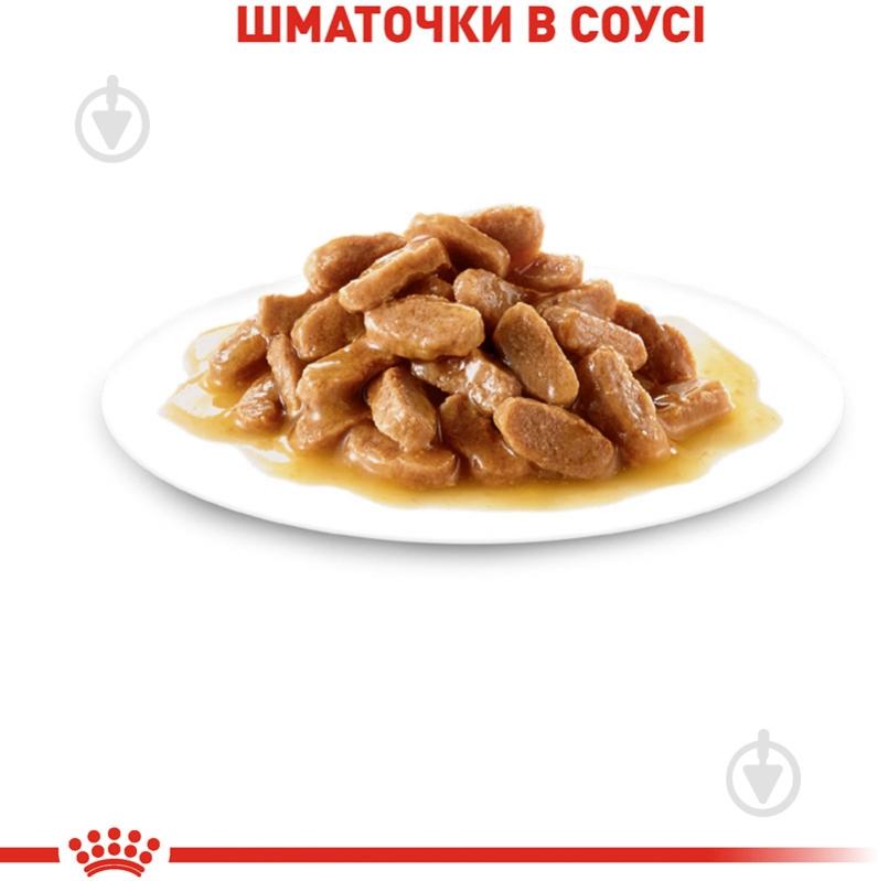 Корм влажный для щенков для средних пород Royal Canin MEDIUM PUPPY (Медиум Паппи соус), пауч, 140 г 140 г - фото 4 Корм влажный для щенков для средних пород Royal Canin MEDIUM PUPPY (Медиум Паппи соус), пауч, 140 г 140 г - фото 4