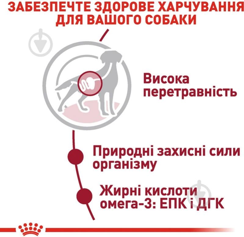 Корм влажный для взрослых собак для средних пород Royal Canin MEDIUM ADULT (Медиум Эдалт соус), пауч,140 г 140 г - фото 5 Корм влажный для взрослых собак для средних пород Royal Canin MEDIUM ADULT (Медиум Эдалт соус), пауч,140 г 140 г - фото 5