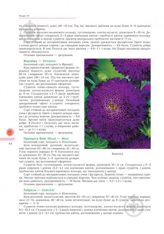 Книга Володимир Черняк «Айстри Біологічні особливості Вирощування Використання Сорта (М)» 978-966-10-1448-9 - фото 3