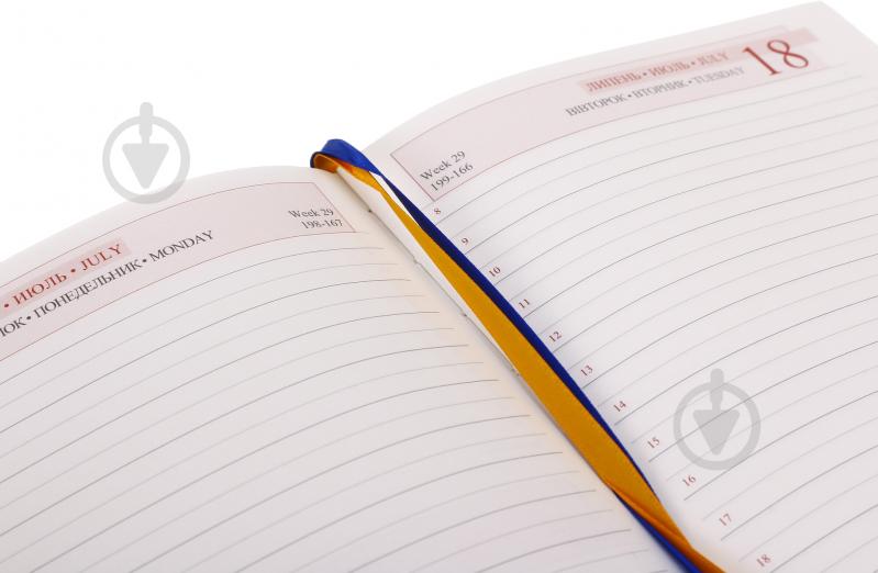 Щоденник датований Hexagon Leo Planner Hexagon A5 2023 - фото 7