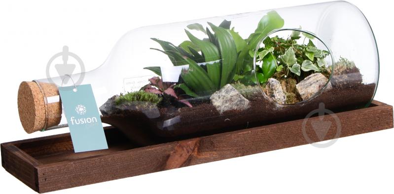 Тераріум в пляшці горизонтальній 48х20 см - фото 8