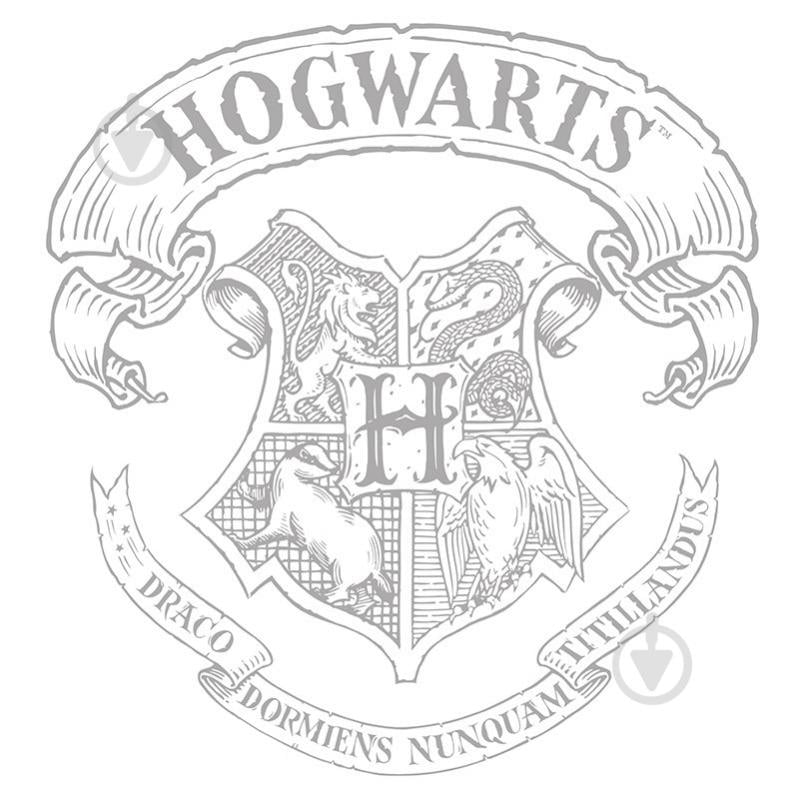 Футболка для девочек Harry Potter Poudlard р.170-176 белый ABYTEX368M - фото 2