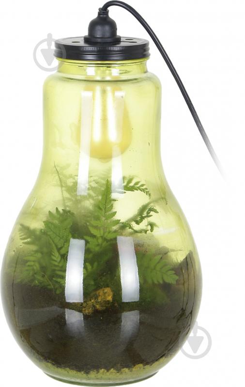Террариум в лампе 24x40 см - фото 1 Террариум в лампе 24x40 см - фото 1