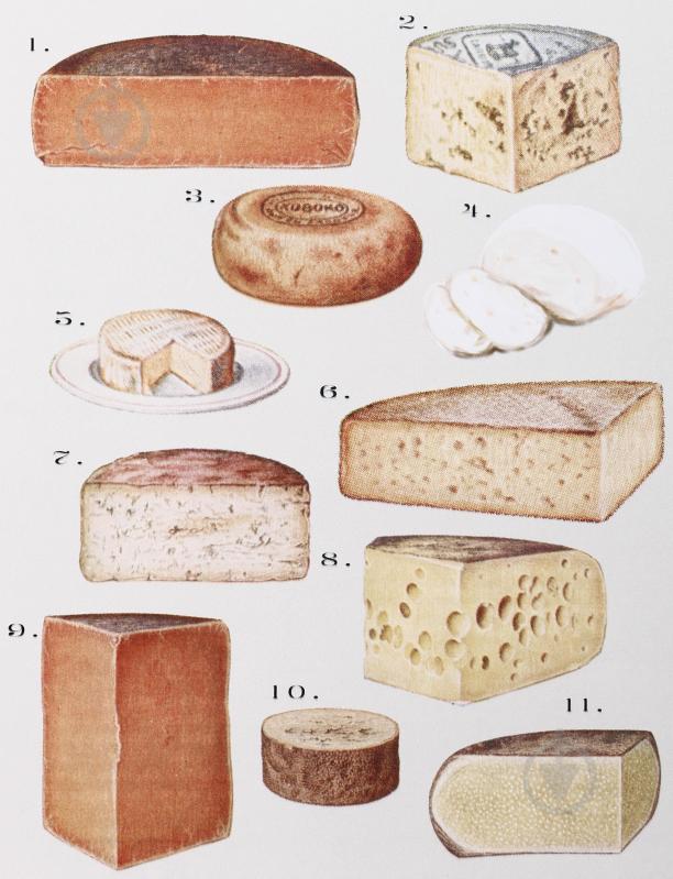 Картина Fromages 30x40 см Styler OB-22820 - фото 4 Картина Fromages 30x40 см Styler OB-22820 - фото 4