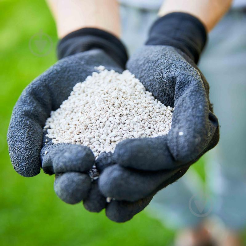 Удобрение для газонов Compo длительного действия 2кг - фото 10 Удобрение для газонов Compo длительного действия 2кг - фото 10