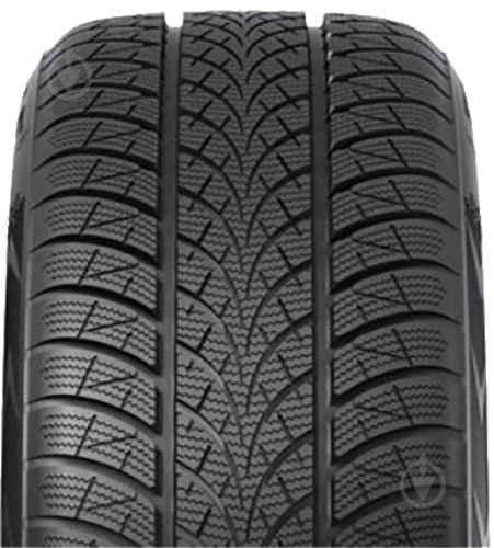 Шина TRIANGLE WinterX TW401 XL 225/55 R17 101 V нешипованая зима - фото 2