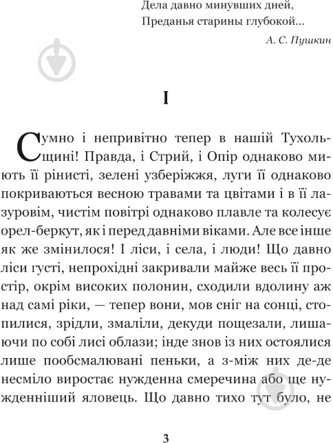 Книга Иван Франко «Захар Беркут: образ громадського життя Карпатської Русі в XIII віці: історична повість» 978-966-10-4845-3 - фото 4