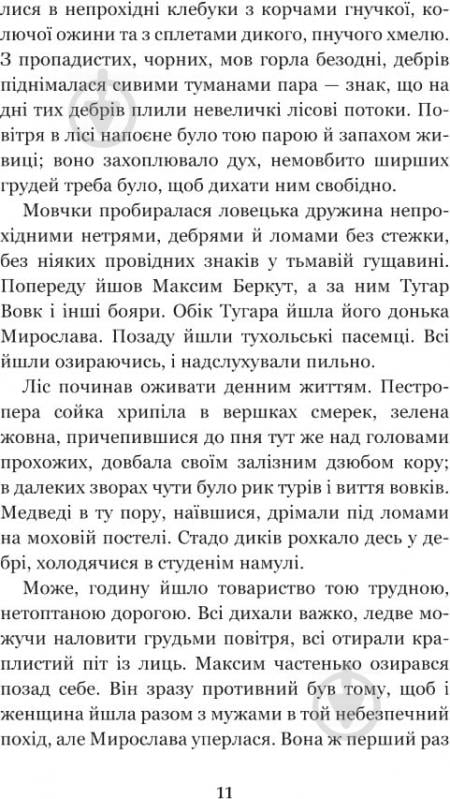 Книга Иван Франко «Захар Беркут: образ громадського життя Карпатської Русі в XIII віці: історична повість» 978-966-10-4845-3 - фото 12