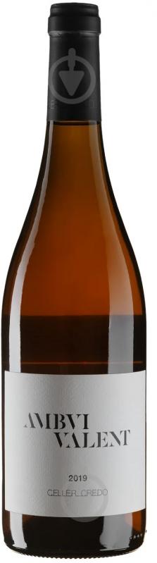 Вино Ambvivalent 2019 0,75 л - фото 1