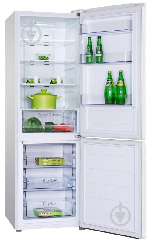 Холодильник TCL RB315WM1110 - фото 6
