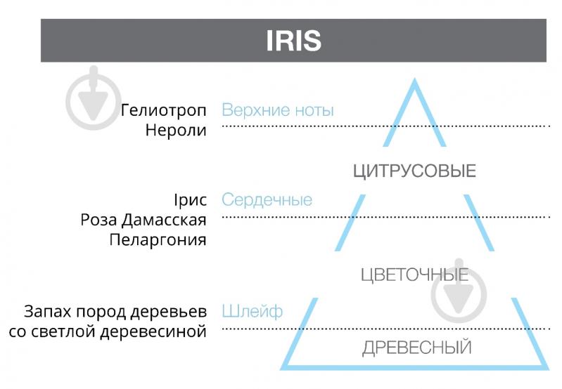 Запасной блок ASSOLUTE IRIS 200 мл Hypno Casa - фото 2