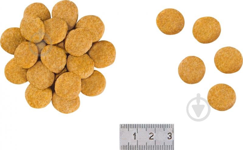 Корм сухой для собак для всех пород Royal Canin V.D. Skin Care 11 кг - фото 2 Корм сухой для собак для всех пород Royal Canin V.D. Skin Care 11 кг - фото 2