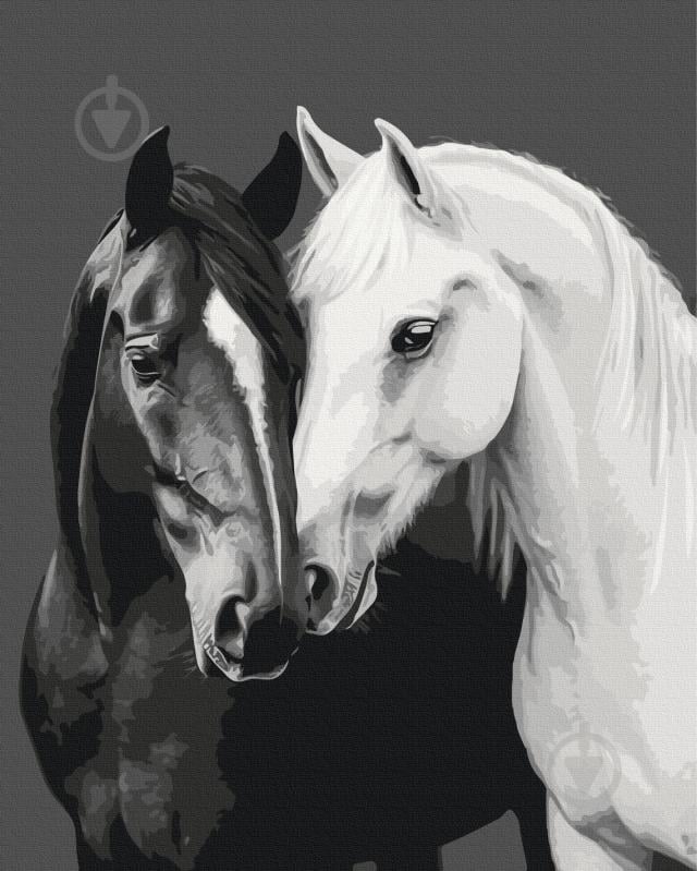 Картина по номерам Черное и белое сердце 40x50 см Brushme - фото 1