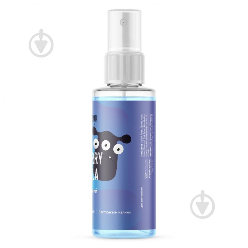 Антисептический спрей Joko Blend Cosmetics Black Raspberry & Vanilla 35 мл - фото 3